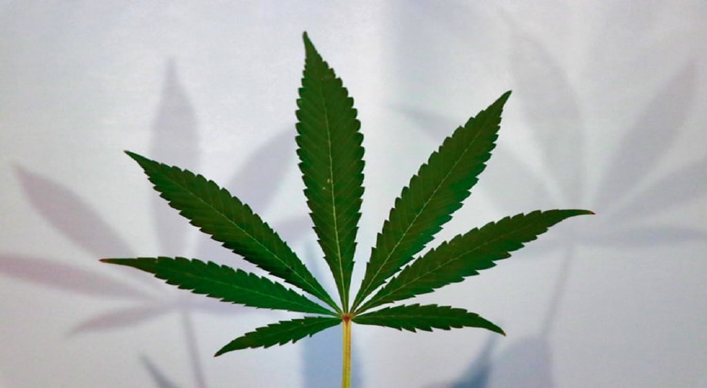 Buy Cannabis Online Canada